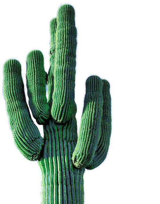 Notary Public Scottsdale Arizona